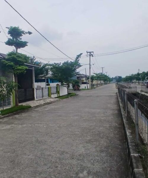 Komersil permata nusa indah (2)