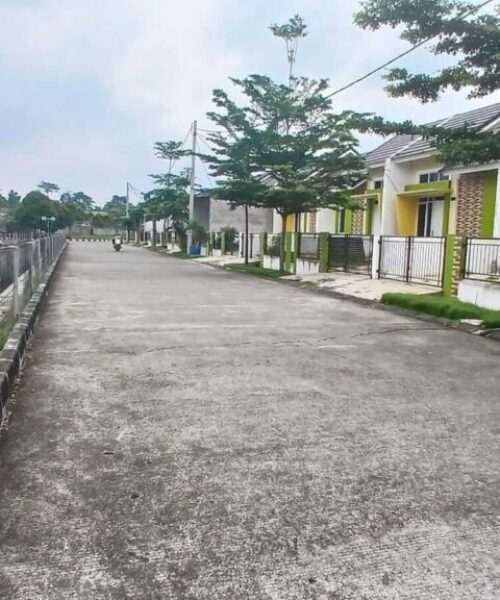 Komersil permata nusa indah (7)